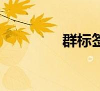 群标签大全(群标签大全)