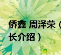 侨鑫 周泽荣(周泽荣-侨鑫集团有限公司董事长介绍)