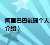 阿里巴巴戴珊个人简历(戴珊-阿里巴巴集团b类事业群总裁介绍)