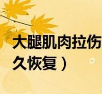 大腿肌肉拉伤多久恢复正常(大腿肌肉拉伤多久恢复)