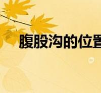腹股沟的位置图片(腹股沟图片位置图)