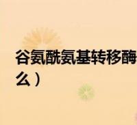 谷氨酰氨基转移酶偏低是什么原因(谷氨酰氨基转移酶是什么)
