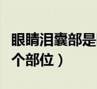 环球知识网