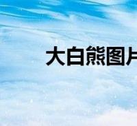 环球知识网