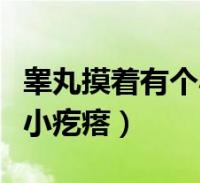 睾丸摸着有个小疙瘩好几年了(睾丸摸着有个小疙瘩)