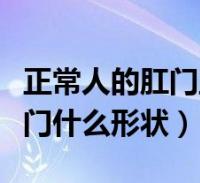 正常人的肛门里面是什么样子的(正常人的肛门什么形状)