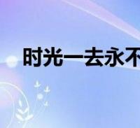 时光一去永不回往事只能回味是什么意思