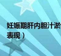 环球知识网