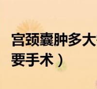 宫颈囊肿多大需要手术图片(宫颈囊肿多大需要手术)