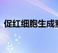 环球知识网