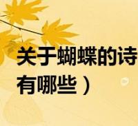 关于蝴蝶的诗句有哪些古诗(关于蝴蝶的诗句有哪些)