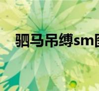 环球知识网