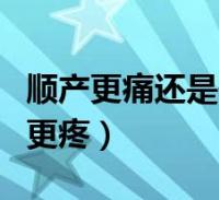 环球知识网