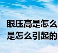 环球知识网
