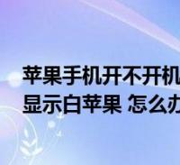 环球知识网