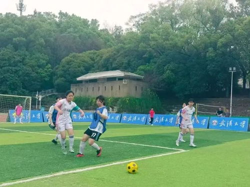 沙特转会传闻