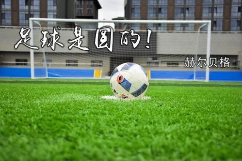 曼联转会