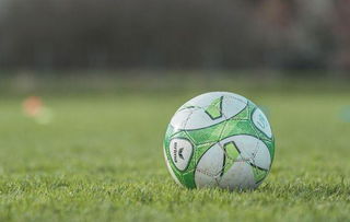 中超：主场大胜 浙江队5-2南通支云