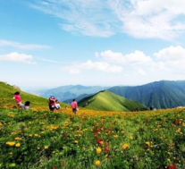 山西全面推进亚高山草甸的保护修复治理
