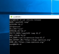 微软公示了WindowsSubsystemforLinux的重大更新