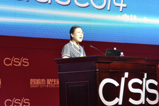 东软高级副总裁卢朝霞演讲 东软高级副总裁卢朝霞演讲