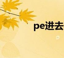 pe进去黑屏（pe读条后黑屏）