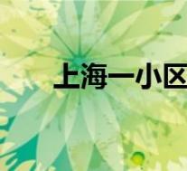 上海一小区现大量野生貉 具体怎样的