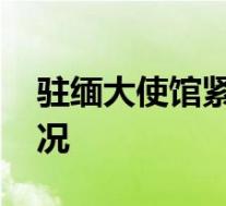 驻缅大使馆紧急提醒在缅中国公民 具体啥情况