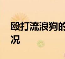 殴打流浪狗的保安和老师被停职 具体是啥情况