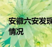 安徽六安发现一例新冠阳性检测者 目前是啥情况