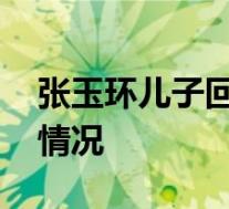 张玉环儿子回应向政府提四点要求 具体是啥情况