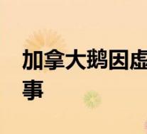 加拿大鹅因虚假宣传被罚45万 具体怎么一回事