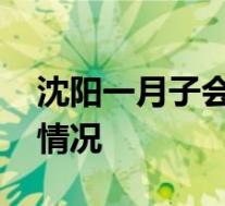 沈阳一月子会所多名婴儿感染肺炎 具体是啥情况