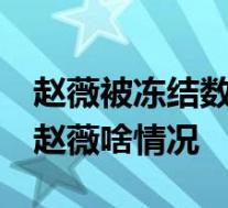 赵薇被冻结数百万股权 最近的明星都怎么了 赵薇啥情况