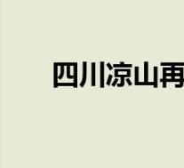四川凉山再发山火 目前火场情况如何