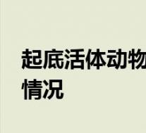 起底活体动物盲盒乱象:售出不退换 具体是啥情况