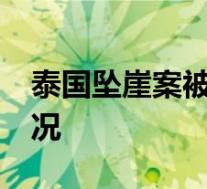 泰国坠崖案被告终身监禁改判10年 这是啥情况