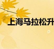 上海马拉松升级白金标赛事 具体是啥情况