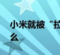 小米就被“拉黑”起诉美政府 到底发生了什么
