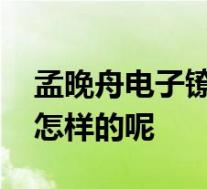 孟晚舟电子镣铐解除却留下淤青 具体情况是怎样的呢