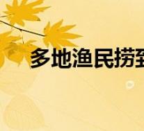 多地渔民捞到境外间谍装置 这是啥情况