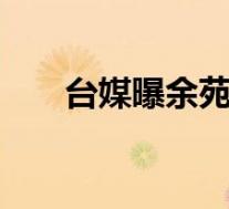 台媒曝余苑绮病情加重 具体是啥情况