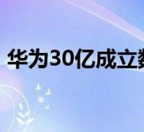 华为30亿成立数字能源公司 华为又有大动作