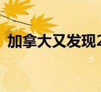加拿大又发现200个儿童墓穴 具体是啥情况