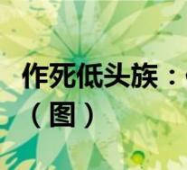 作死低头族：作死低头族女孩大腿被卡下水道（图）