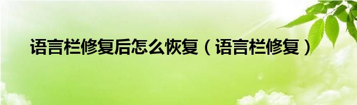 语言栏修复后怎么恢复（语言栏修复）