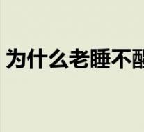 为什么老睡不醒该怎么办(为什么老睡不醒)