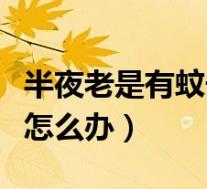 半夜老是有蚊子家庭小妙招(半夜老是有蚊子怎么办)