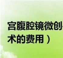 宫腹腔镜微创手术多长时间(宫腹腔镜微创手术的费用)