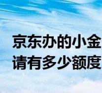 京东办的小金卡有额度吗(京东小金卡初次申请有多少额度)